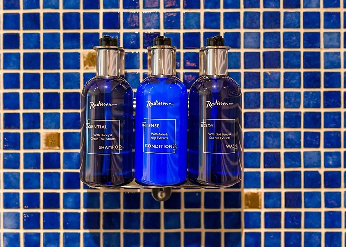 Radisson Blu Hotel, Centre Hotel 4*