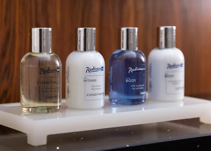 Radisson Blu Hotel, Centre Hotel 4*